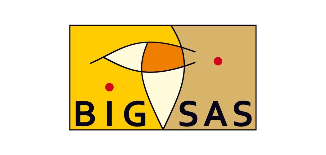 Bigsas Logo