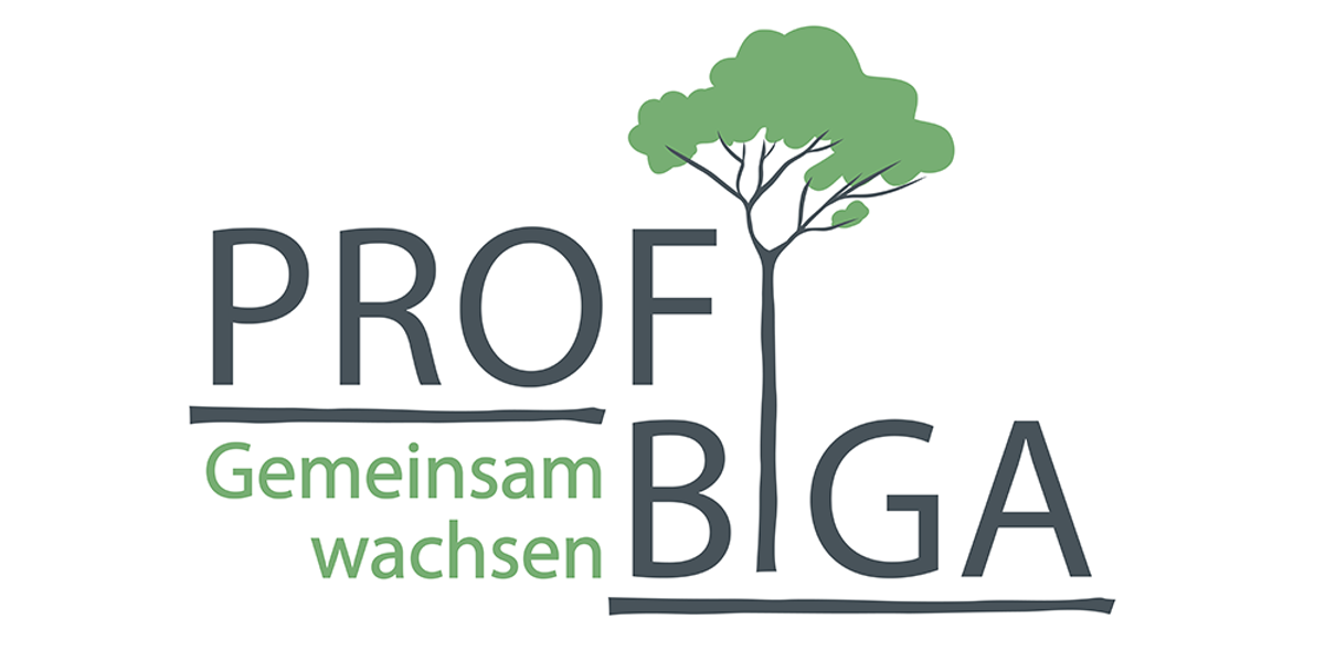 Logo BIGA PROFI Länglich Overview
