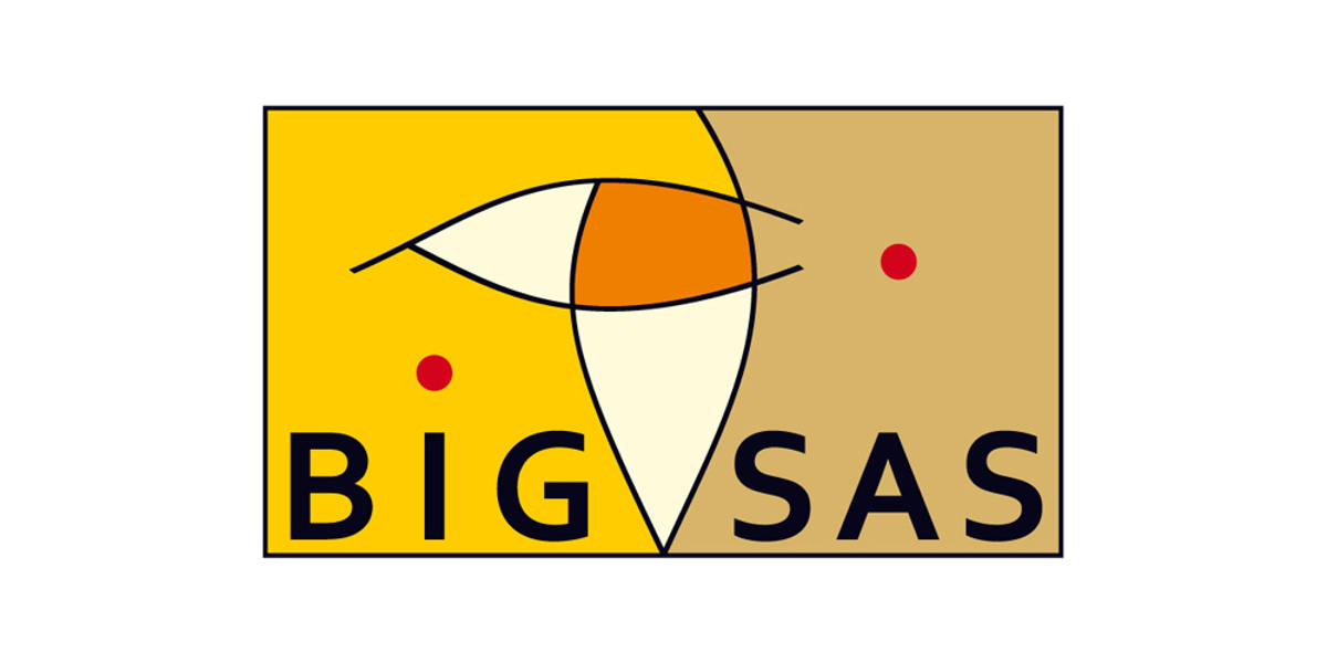 Bigsas Logo